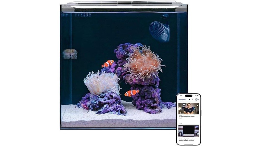 clownfish saltwater aquarium kit
