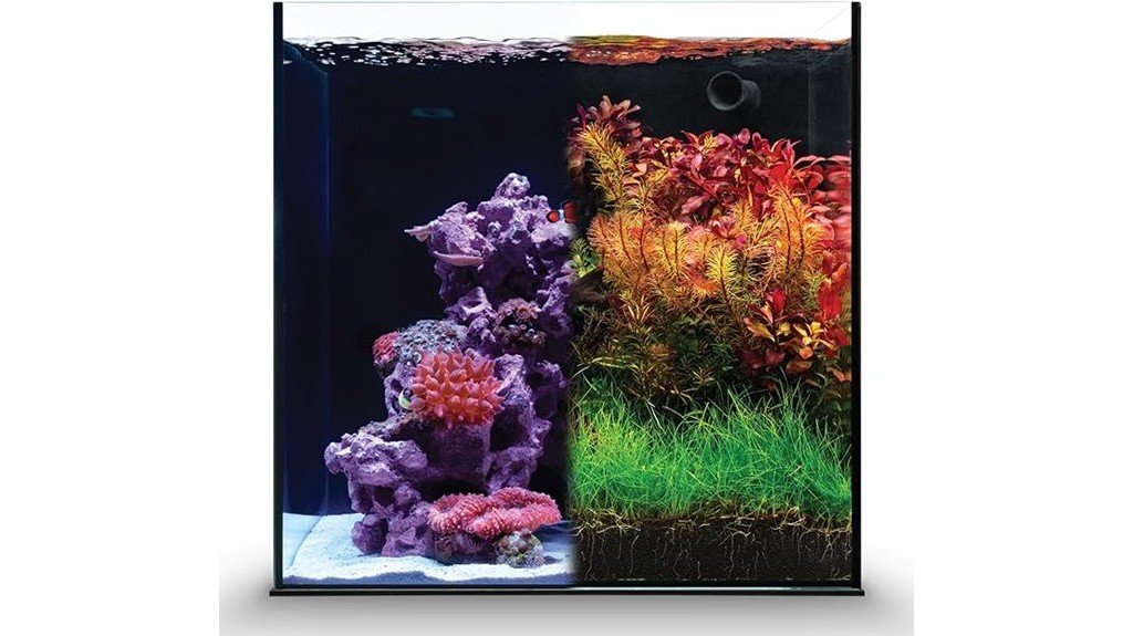 rimless 17 gallon aquarium system
