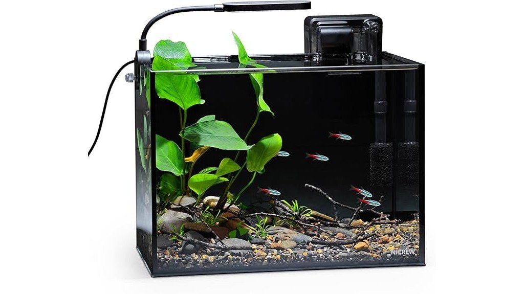small aquarium nature kit