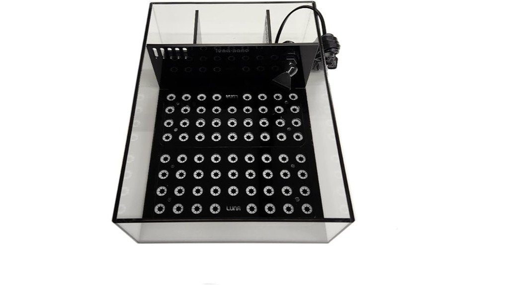 small coral aquarium system