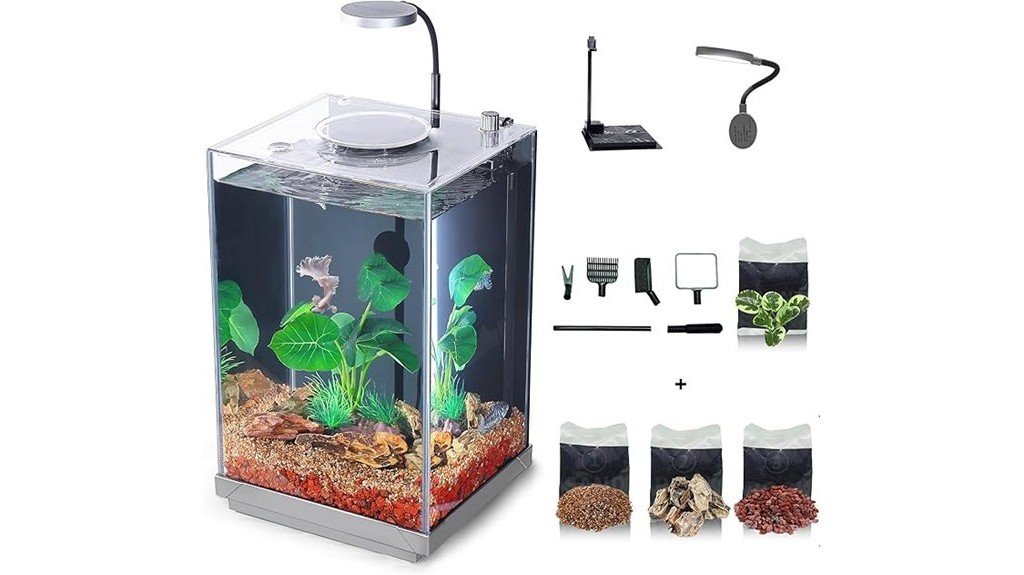 small glass fish tank